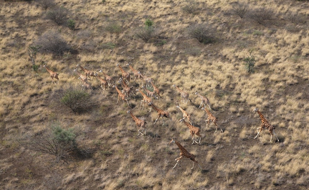 Boma National park