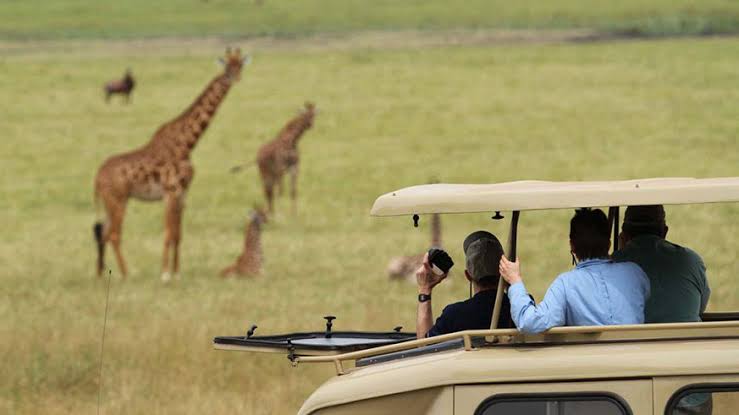 Akagera national park 