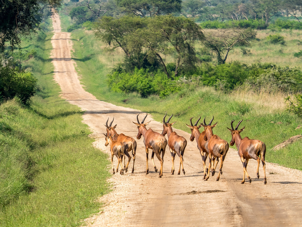 lake Mburo National park