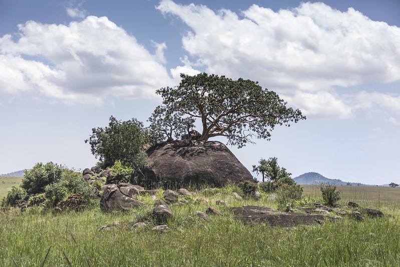 kidepo valley national park sceneries