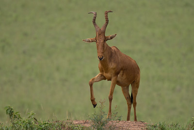 kidepo Valley National park