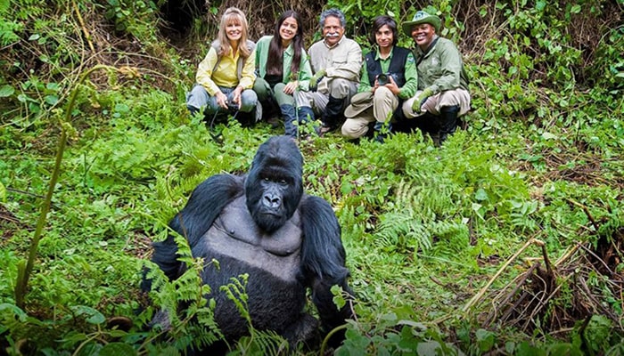 Mgahinga gorilla national park