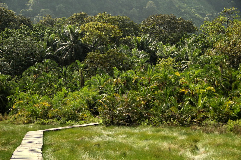 semuliki National park