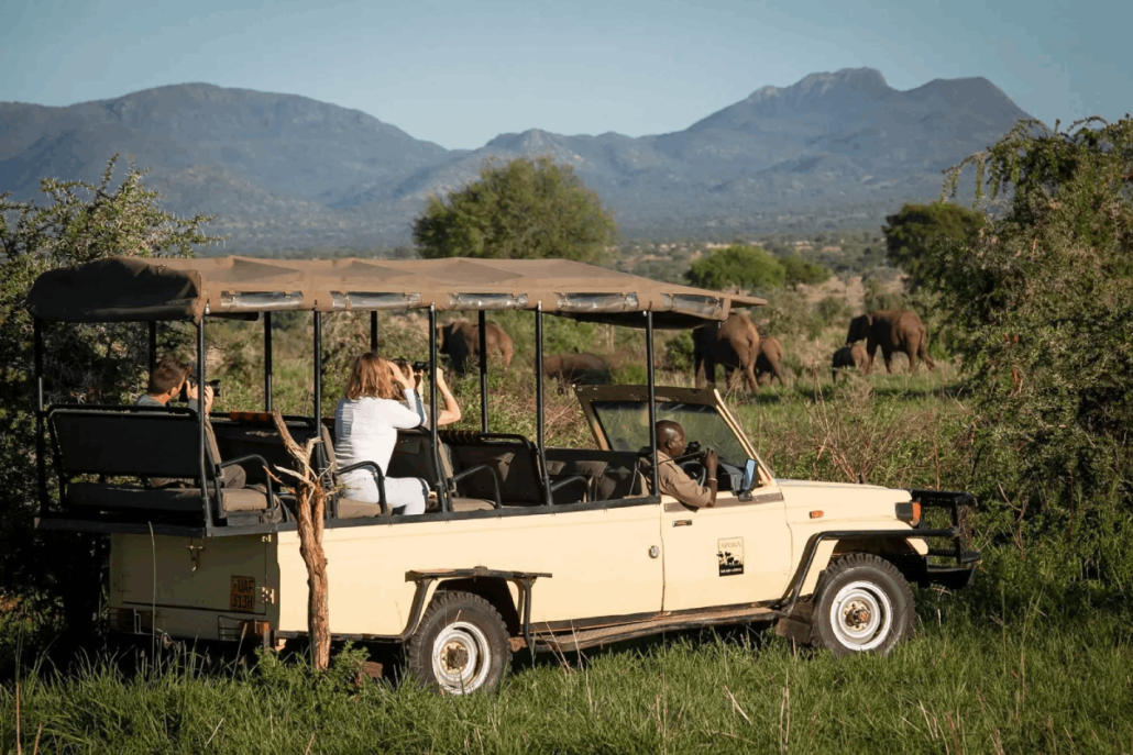 game viewing in  kidepo