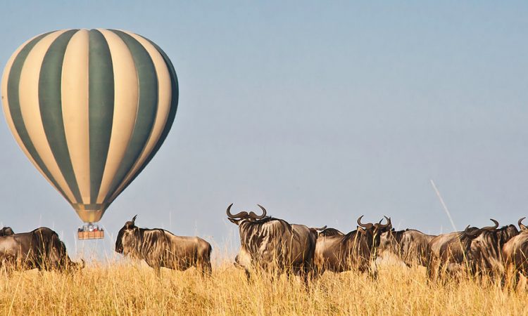 hot air baloon in masai mara 