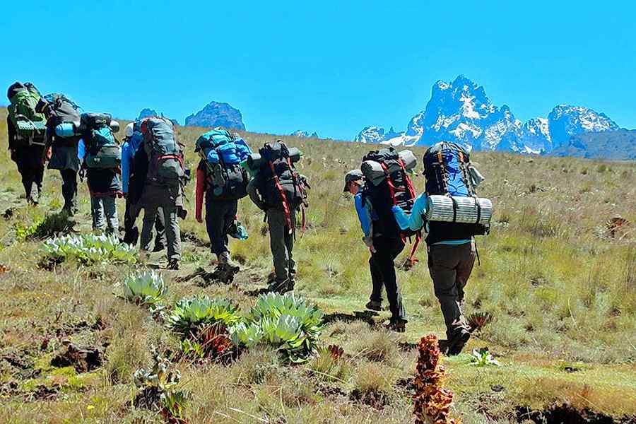 Information  on climbing mount Kenya