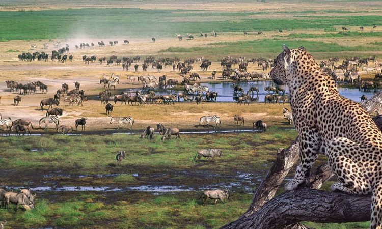 Ngorongoro crater National park