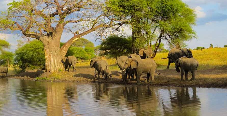 3 Days  lake Manyara, Ngorongoro and Tarangire safari