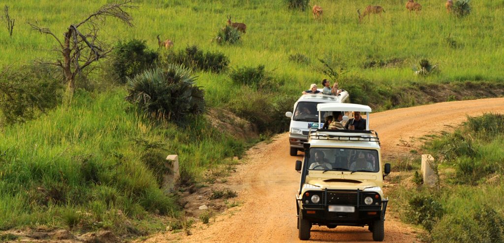 game drive in queen elizabeth national park