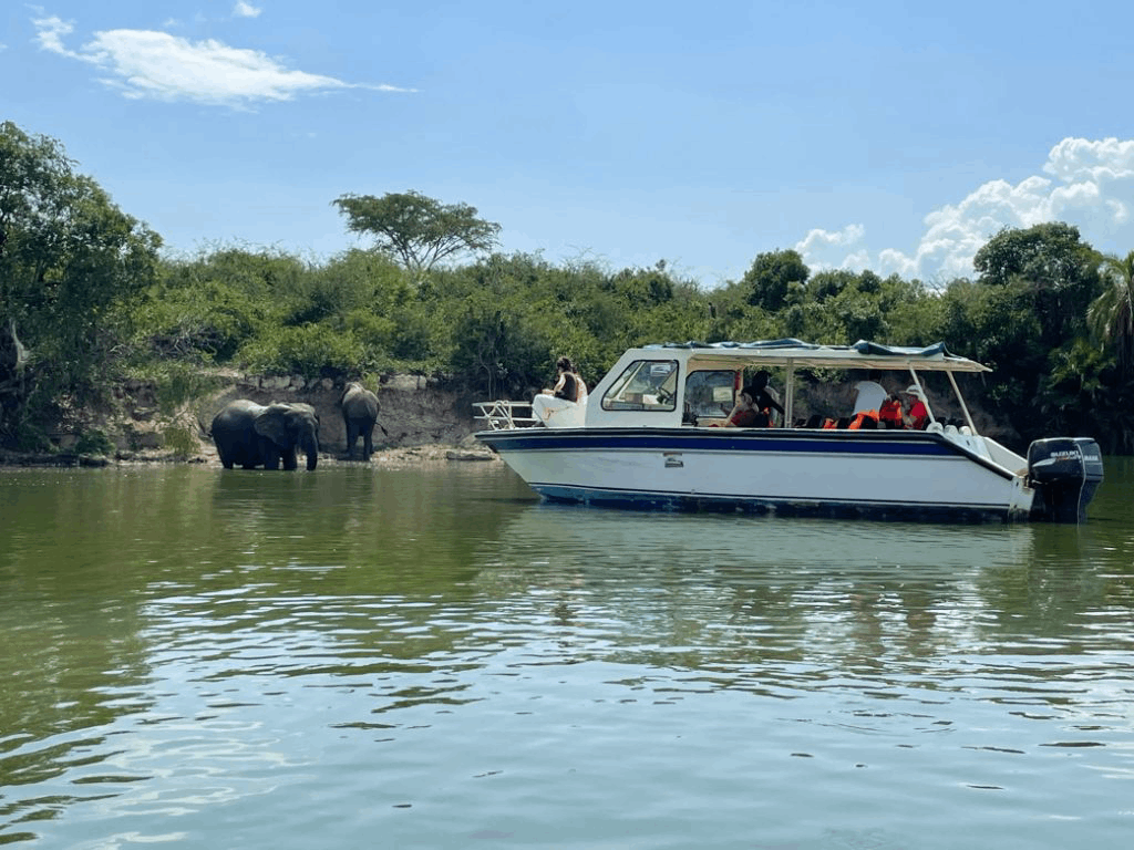 Things  Done in queen Elizabeth National park 