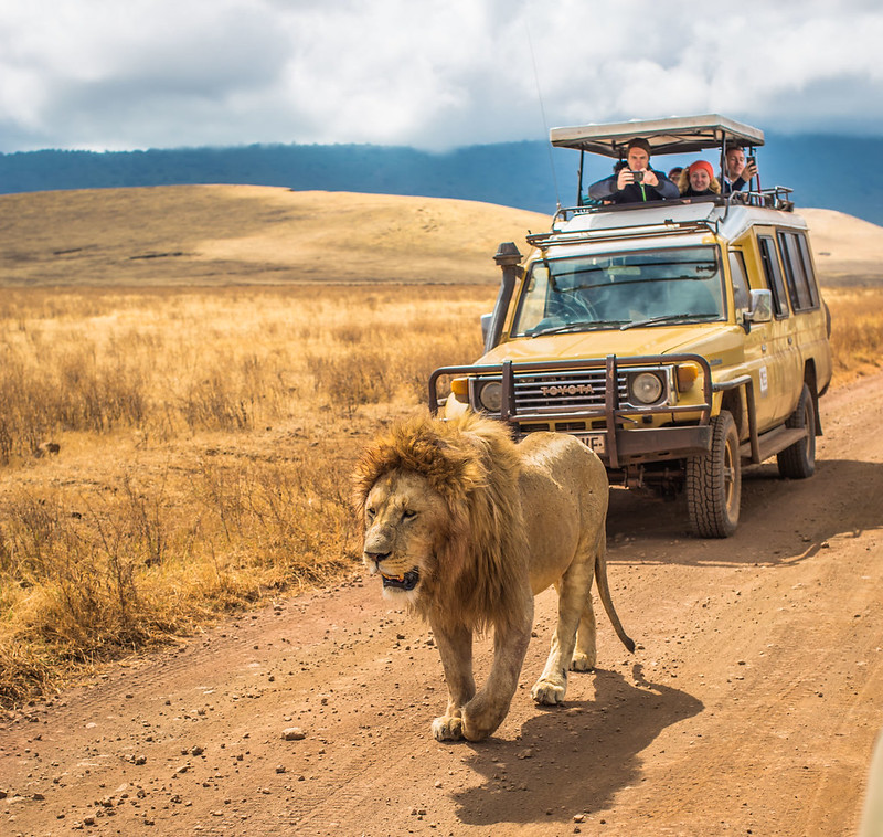 best time of the year to visit tanzania