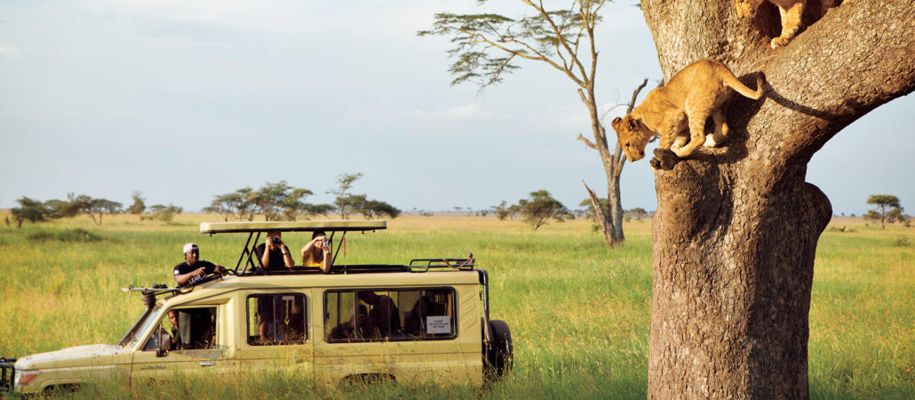 Best time to Visit Tanzania 