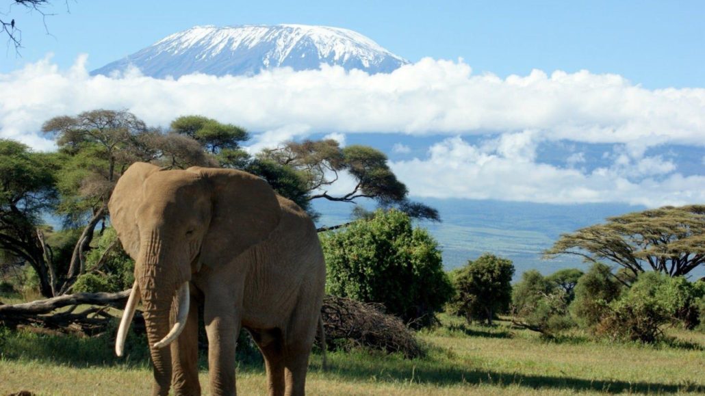 Is Mount Kilimanjaro in Kenya or Tanzania