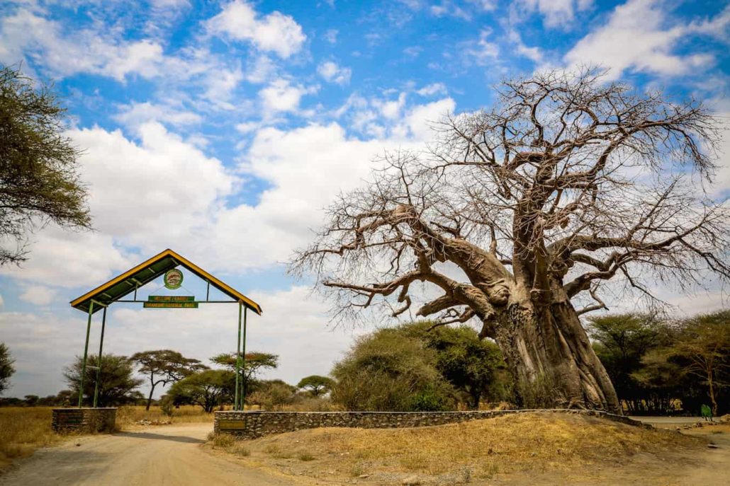 Tarangire National park fees 2024