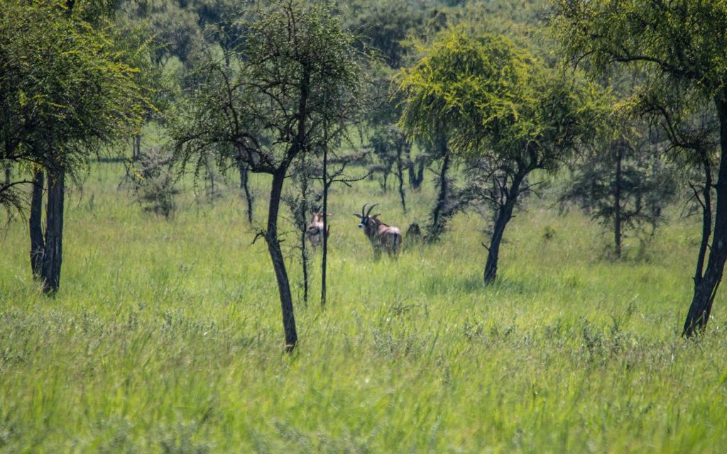 pian upe wildlife reserve 