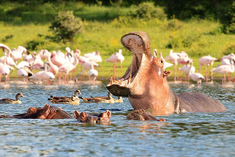 Crescent Island wildlife Sactuary