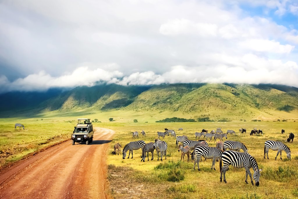 How Much Does it Cost for a Safari in Tanzania