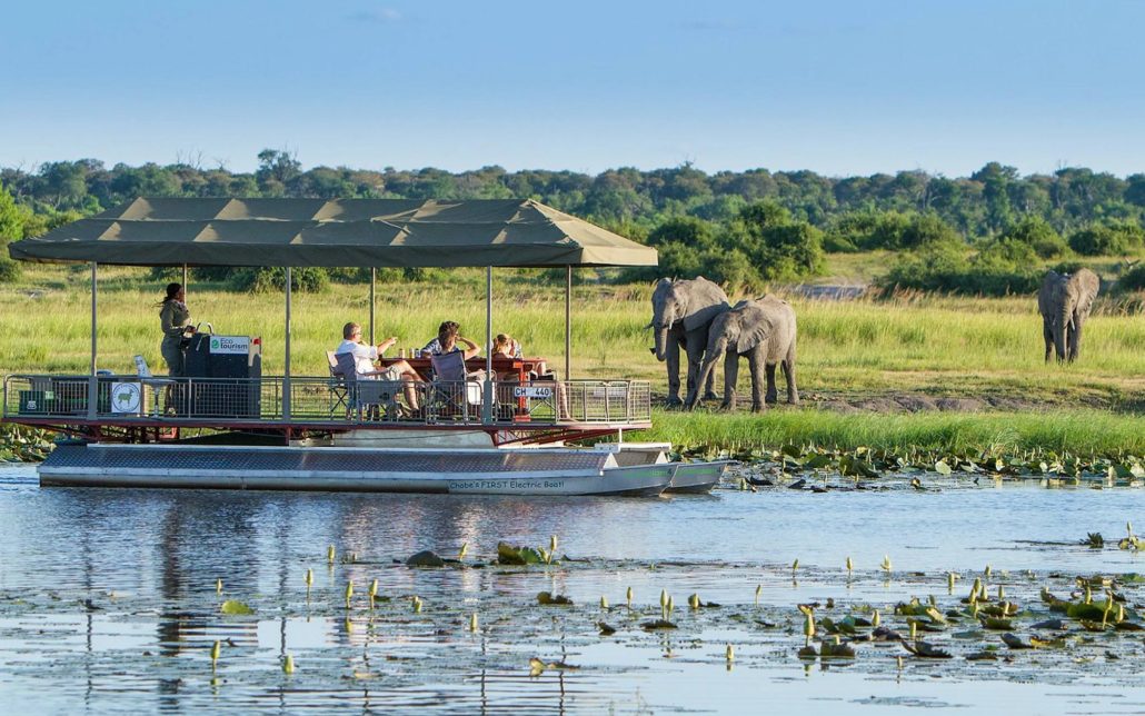 chobe national park 