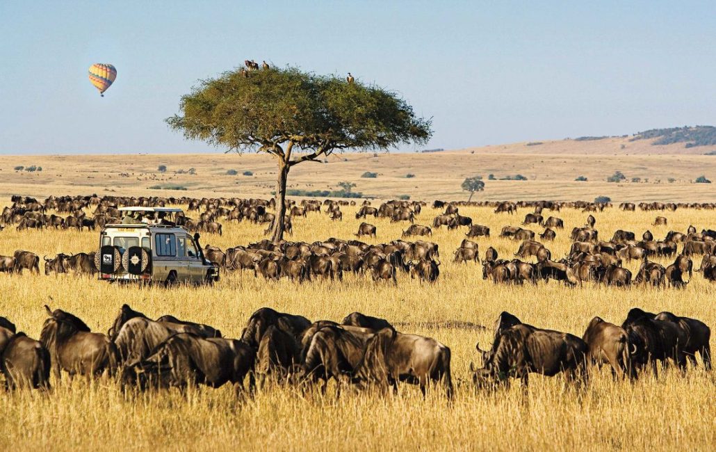 masai mara vs amboseli national park 