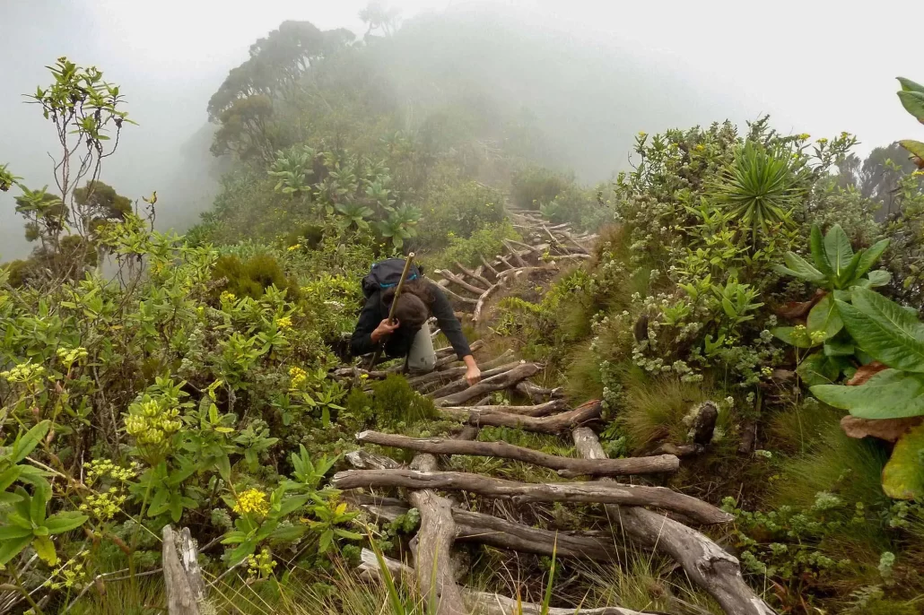 sabinyo hike