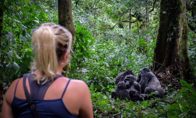 10 Days gorilla, chimpanzee and hiking trip