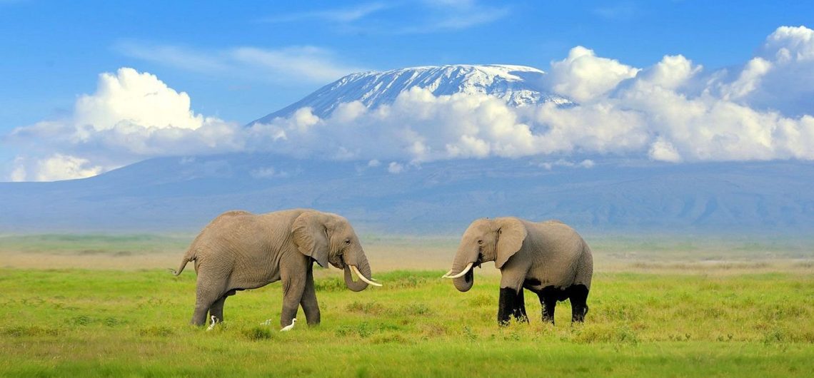 amboseli park safari 